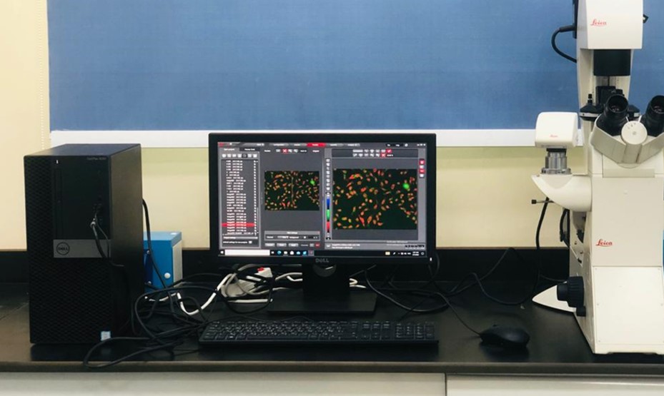 Inverted fluorescence microscope